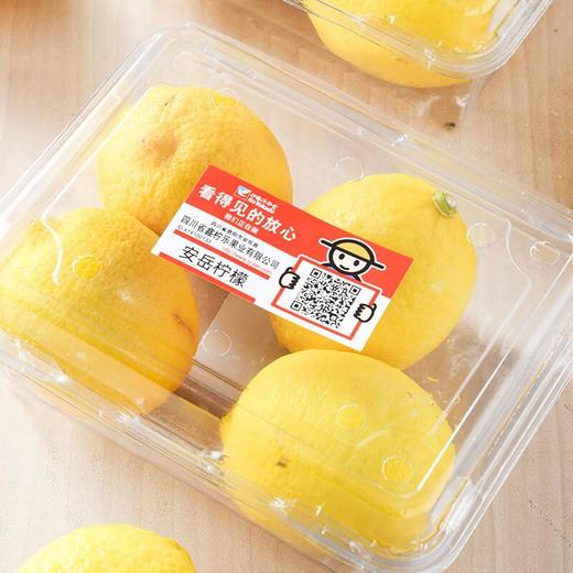 放心安岳柠檬 约500g/盒 安全安心可追溯 伊藤自有品牌 商品图4
