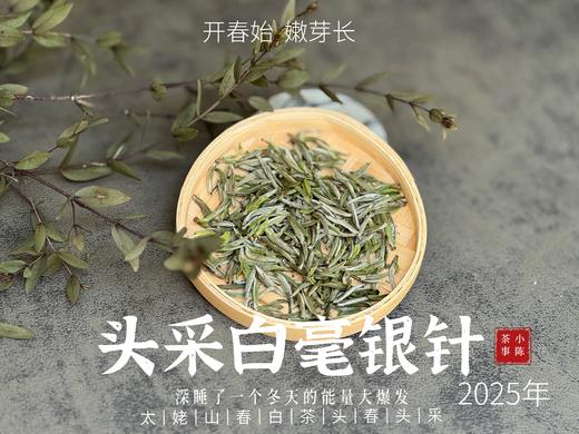 【2025春茶来了】2025头采银针《如琢》，上天精心打磨出的绝世佳品，毫香与花香尽显风流（一斤收藏装） 商品图1
