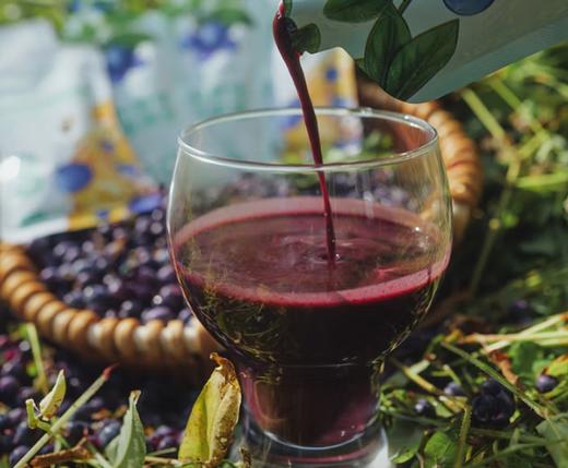 有机蓝莓原浆 商品图3