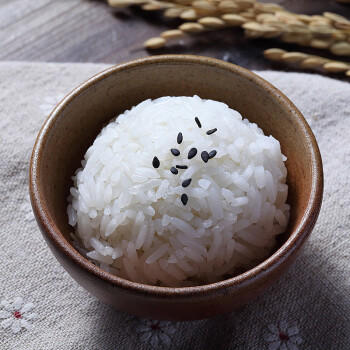 十月香2025当季新米新贡猫牙米长粒米20斤大米籼米20斤装南方大米丝苗米 /粮油调味 /米 /丝苗米 商品图1