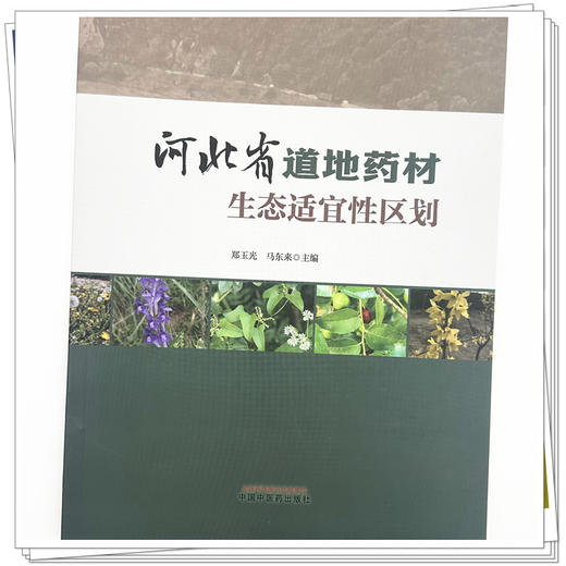 河北省道地药材生态适宜性区划 郑玉光 马东来 主编 中国中医药出版社 商品图3
