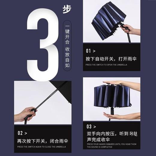 天堂伞 全自动折叠伞高级感12骨加大加固黑胶晴雨两用遮阳伞o 商品图2