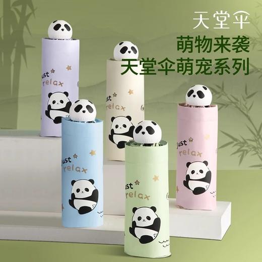 天堂伞 萌宠熊猫系列轻小便携口袋胶囊防晒伞太阳伞学生晴雨伞两用男女 商品图4