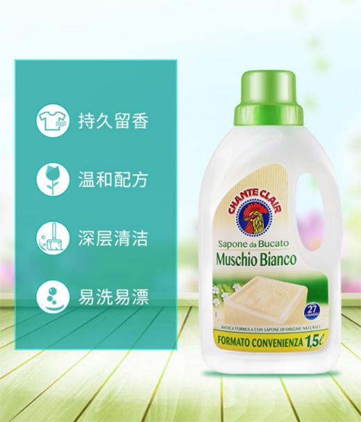 大公鸡五件套3275ml（浓缩洗衣液1500ml+多功能油污净600ml+去渍肥皂300g+浓缩洗洁精500m1+污渍克星375ml） 商品图4