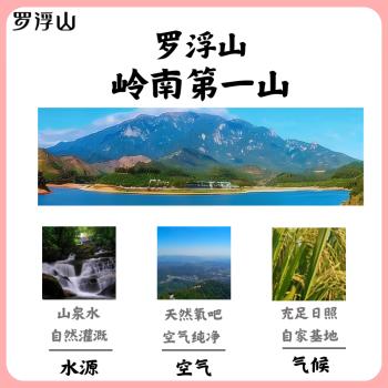 罗浮山 罗浮追梦甄选象牙粘1斤  地标产品  猫牙米 籼米  油粘米 /粮油调味 /米 /油粘米 商品图2