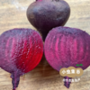 生态甜菜根（火焰菜）2斤/5斤 | 合作农友生产，产自云南昆明，生产者：王建钧 *【公平贸易农人定价】 商品缩略图5