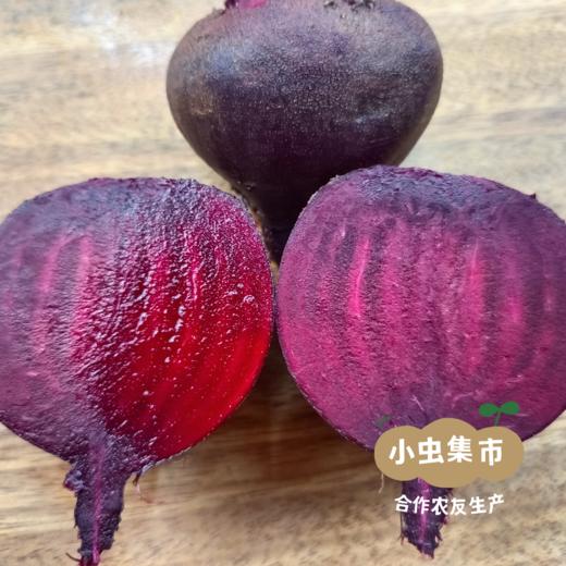 生态甜菜根（火焰菜）2斤/5斤 | 合作农友生产，产自云南昆明，生产者：王建钧 *【公平贸易农人定价】 商品图5