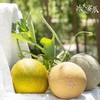 新疆哈密瓜 西州蜜  脆甜多汁 商品缩略图7