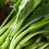放心菜心苗 约300g/袋 安全安心可追溯 伊藤自有品牌 商品缩略图1