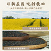 旦清菜籽油非转基因一级压榨菜籽油 乡村土榨物理压榨食用油 5L /粮油调味 /食用油 /菜籽油 商品缩略图0