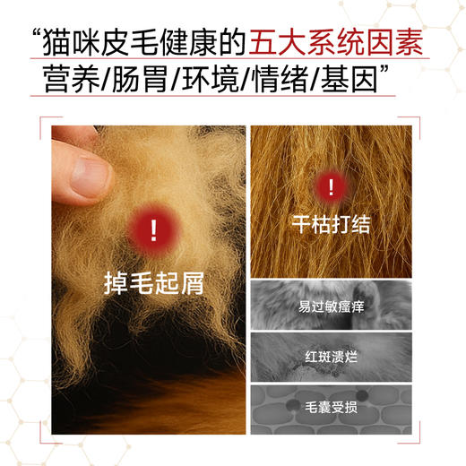 🎁[年货节]小壳皮毛健康定制 全价成年期猫粮 2kg/袋，内调外养 美毛润肤 商品图4