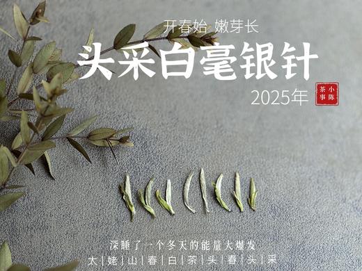 【2025春茶来了】2025头采银针《如琢》，上天精心打磨出的绝世佳品，毫香与花香尽显风流（一斤收藏装） 商品图2
