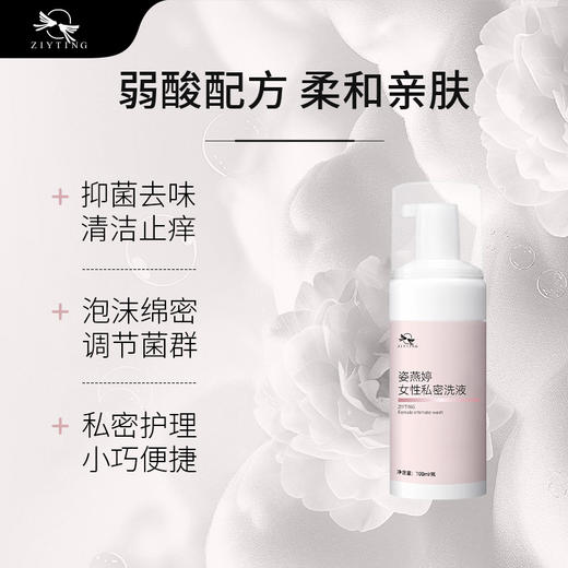 姿燕婷清洁抑菌免洗慕斯 商品图1