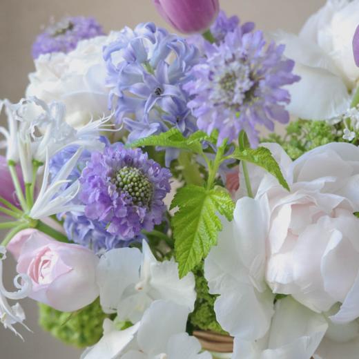 浅浅喃语 Soft Love 商品图2