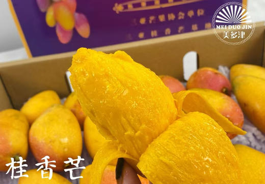 桂香芒·贵妃芒🥭 一箱4斤礼盒装 商品图0