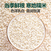 北纯 有机糯米1斤/瓶（杂粮米江米黏糯米粽子米五谷粗粮有机食品） /粮油调味 /杂粮 /谷米类 商品缩略图1