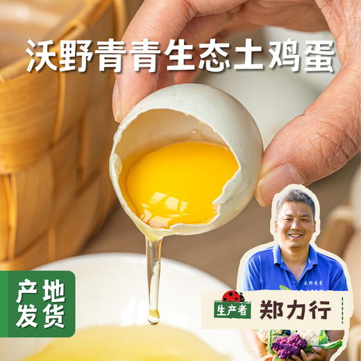 【发货较慢，不接急单】沃野青青生态土鸡蛋 30枚/箱 | 合作农友生产，来自陕西咸阳，生产者：郑力行 *【公平贸易农人定价】 商品图0