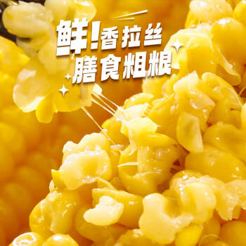 灶小美 [内蒙古产地]金丝黄糯玉米棒10根4斤 加热即食粗粮 源头直发包邮 /粮油调味 /杂粮 /谷米类 商品图2