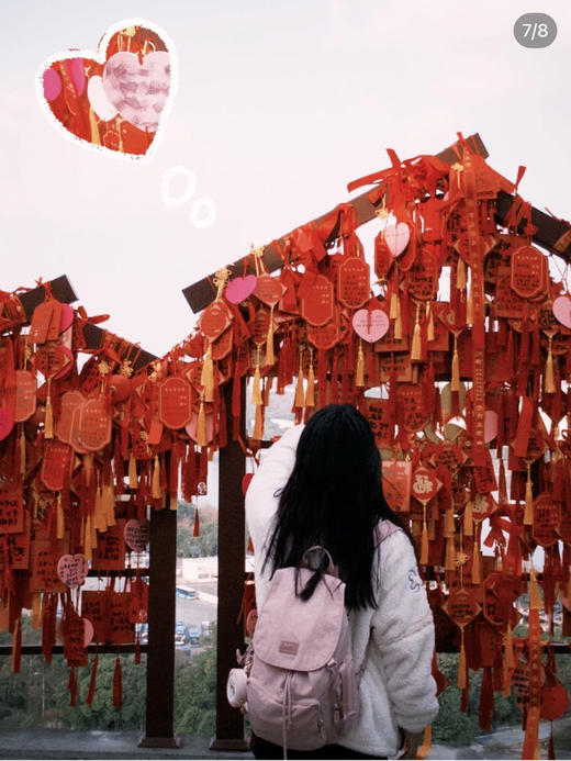 【迎开放日 恰好又是踏青的季节 快速超特价福利一波】F家 休闲女生 翻盖 双肩背包 上学 上班通勤 出游 休闲多场景 都可以驾驭 商品图13