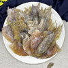 广东汕头澄海吴氏兄弟墨鱼干(6-8只)500g/袋 商品缩略图3
