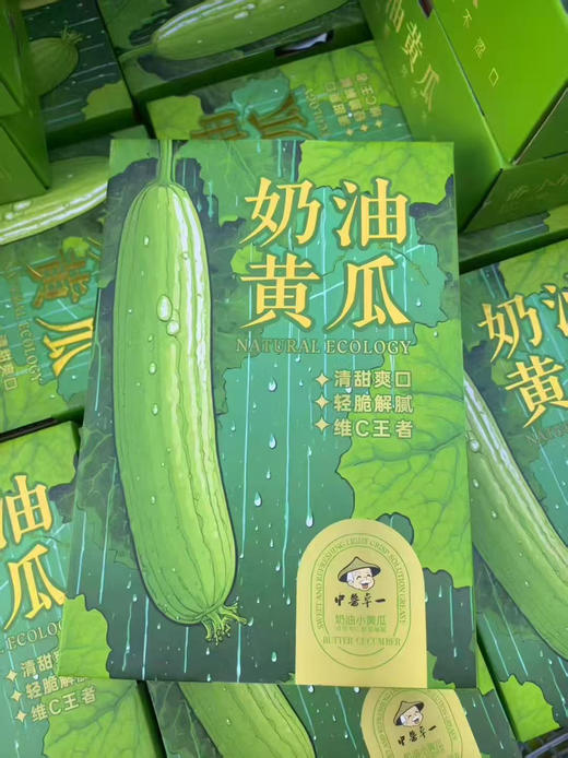 奶油小黄瓜，有机，净2.5斤/箱 商品图3