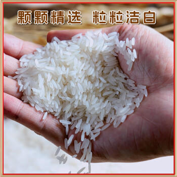 南纳香泰国香米10kg 大米20斤进口长粒香大米 一级大米 健康好米 /粮油调味 /米 /泰国香米 商品图7