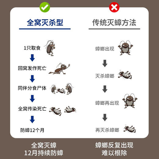 【安全有效】日本小黑屋 环保无毒无味灭蟑螂药一盒12枚 商品图1