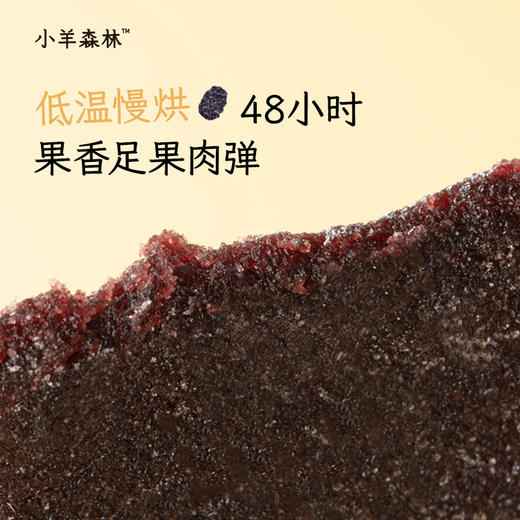 「桑葚果肉片」 真实水果打浆   健康小零食 零食 商品图4