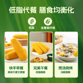 灶小美 [内蒙古产地]金丝黄糯玉米棒10根4斤 加热即食粗粮 源头直发包邮 /粮油调味 /杂粮 /谷米类 商品图5