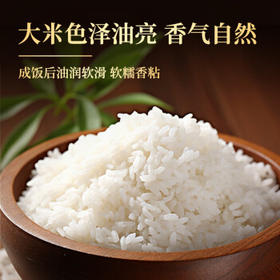 太粮美虾王香软米大米20斤家庭装 南方油粘米长粒猫牙米 新米 /粮油调味 /米 /油粘米