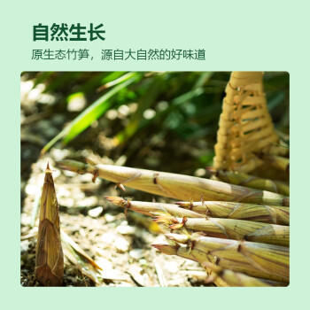 华田禾邦清水笋1斤*2袋装 小竹笋脆笋嫩笋尖 凉拌炒菜火锅食材 /粮油调味 /南北干货 /干菜类 商品图6