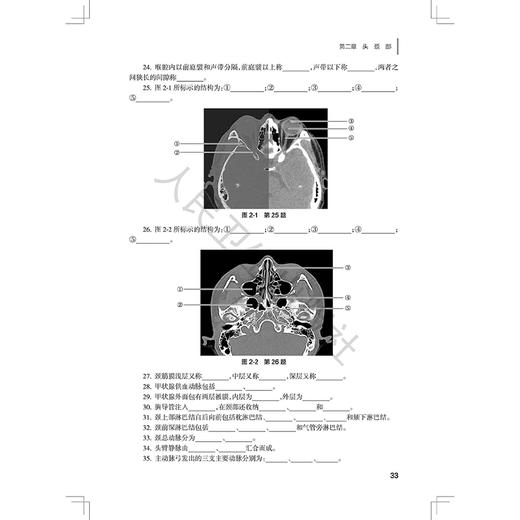 人体影像解剖学学习指导与习题集第2二版 十四五规划教材全国高等学校配套教材 任伯绪徐海波 供医学影像技术专业用人民卫生出版社 商品图4