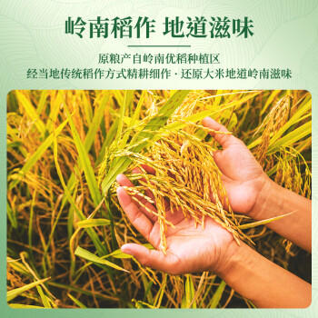 太粮美虾王香软米大米20斤家庭装 南方油粘米长粒猫牙米 新米 /粮油调味 /米 /油粘米 商品图3