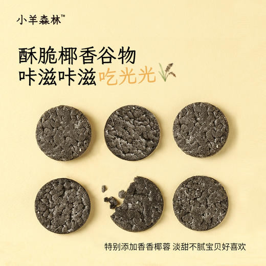 「五黑小雪饼」椰香酥脆 低温慢烤 不易上火 5重黑养力 随带随享 零食 商品图3