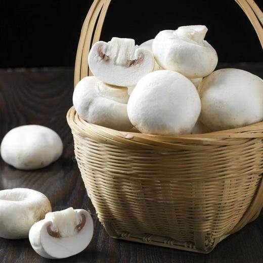 放心白蘑菇 约200g/盒 商品图1
