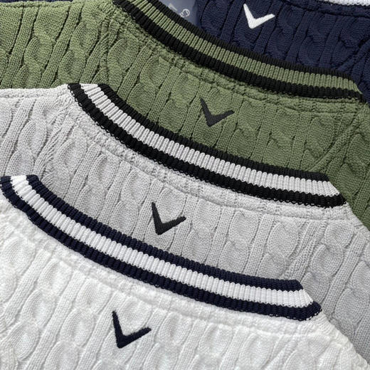 日单正品卡拉威高尔夫针织马甲
白色3L 灰色M L LL 3L 军绿色L 深蓝色3L 各几件
原价12000日元
M 胸围96 L 胸围102 LL 胸围108 3L 胸围114 商品图9