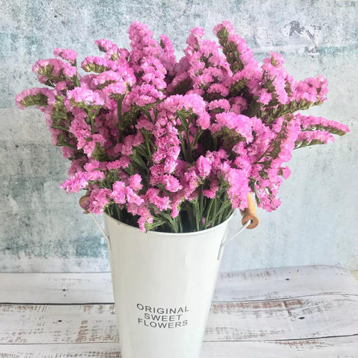 新鲜鲜花 勿忘我 鲜切花 粉色/紫色  1把（可备注送货时间） 商品图0