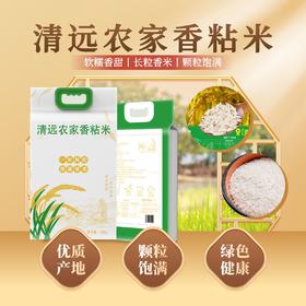 【颗粒饱满】清远农家香粘米