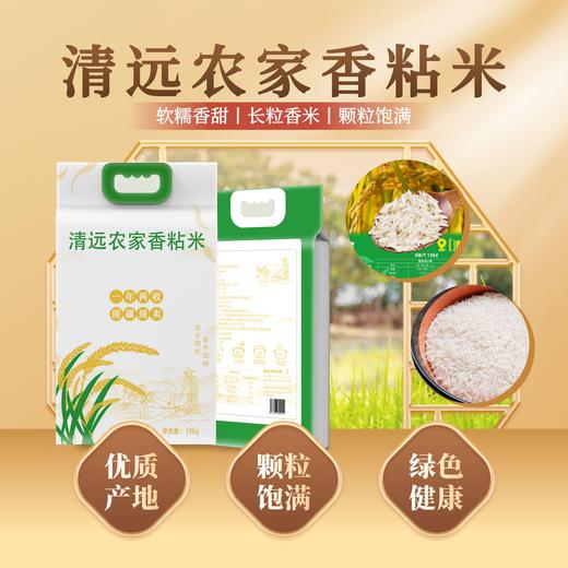 【颗粒饱满】清远农家香粘米 商品图0