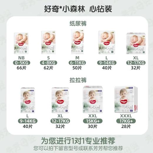 好奇心钻小森林纸尿裤/拉拉裤 商品图1