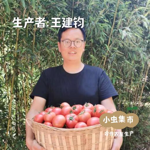 生态甜菜根（火焰菜）2斤/5斤 | 合作农友生产，产自云南昆明，生产者：王建钧 *【公平贸易农人定价】 商品图3