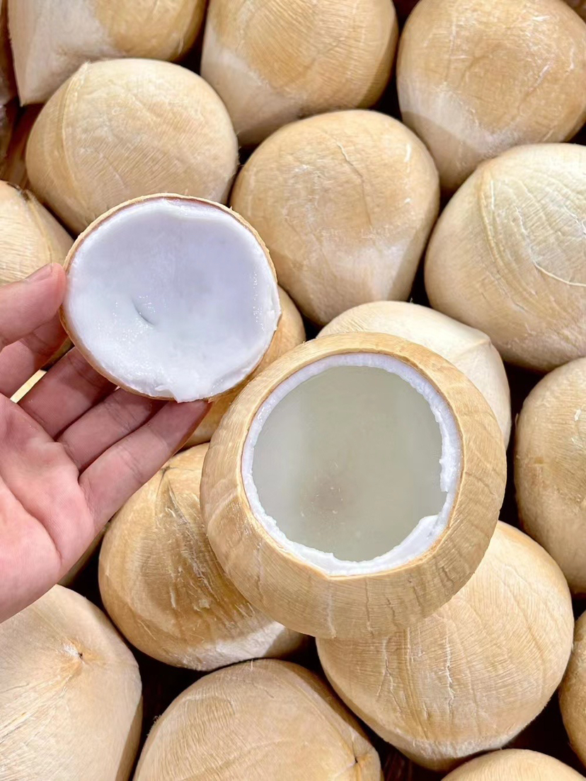 ✈️漂洋过海的椰皇，每一口都是甜甜甜😋
初入口中顺滑清淡，之后便回味甘甜🍭
浓郁的椰香充满口腔😋，咕噜咕噜嘬一大口，那叫一个满足呀~🥰