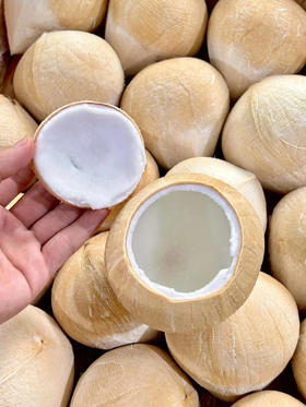 ✈️漂洋过海的椰皇，每一口都是甜甜甜😋
初入口中顺滑清淡，之后便回味甘甜🍭
浓郁的椰香充满口腔😋，咕噜咕噜嘬一大口，那叫一个满足呀~🥰