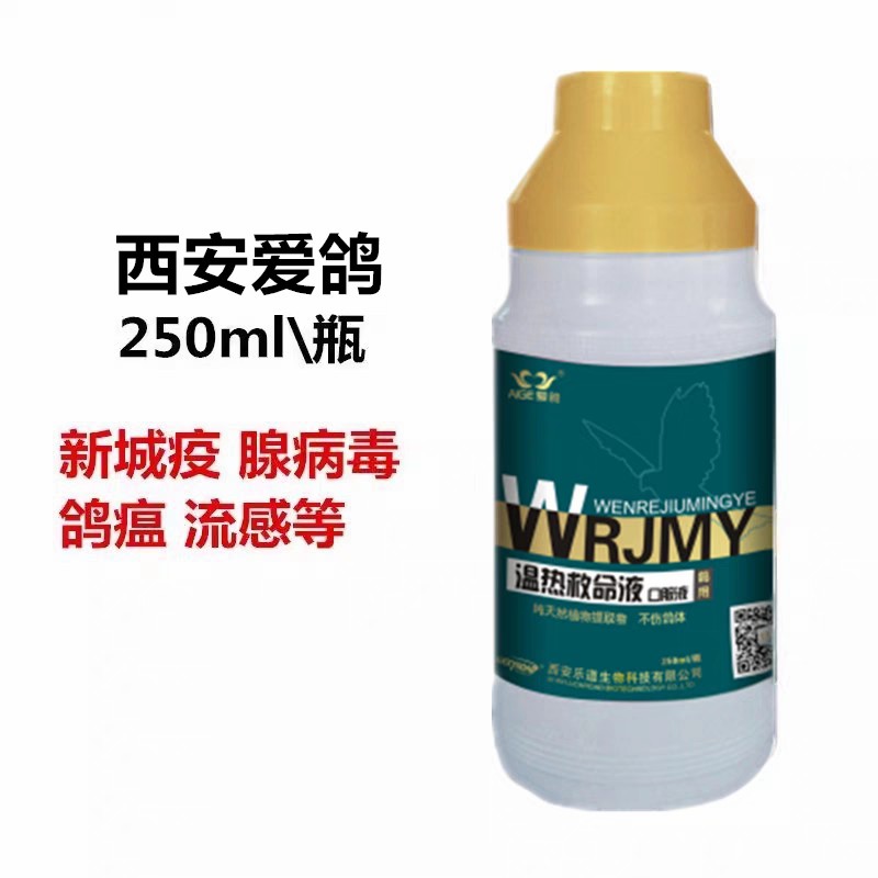 【瘟热救命液】鸽新城疫、流感等病毒病（乐道）