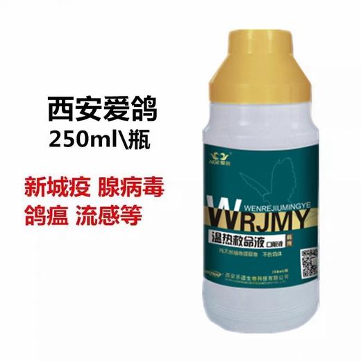 【瘟热救命液】鸽新城疫、流感等病毒病（乐道） 商品图0