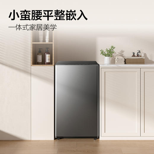 【TCL洗衣机】直驱波轮洗衣机家用静音不锈钢内筒免清洗洗衣机 10公斤直驱变频B100P6-DP 商品图3