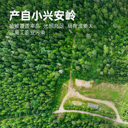 彩虹星球|有机蓝莓原浆 商品图3