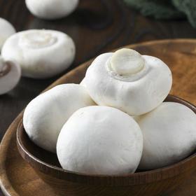 放心白蘑菇 约200g/盒