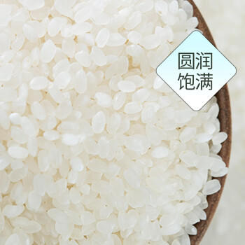 瀛豊五斗崇明绿稻香10斤 真空包装 产自崇明岛 国企粮源 自有农场 /粮油调味 /米 /其他大米 商品图3