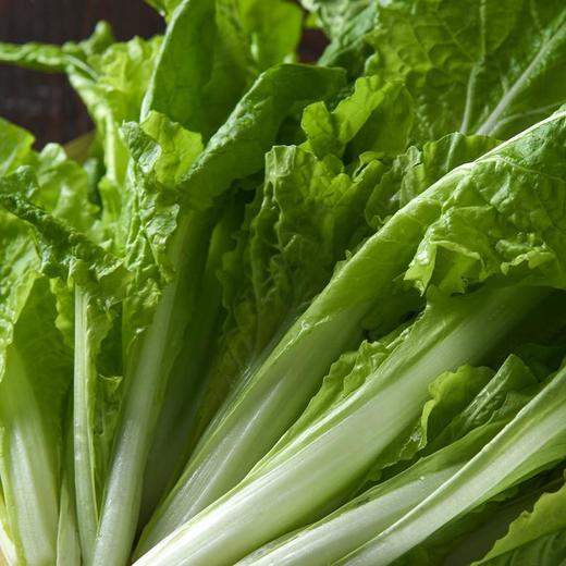 放心杭白菜 约300g/袋 安全安心可追溯 伊藤自有品牌 商品图4